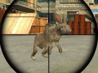 Rabbit Target Arcade Game