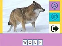 Picture Quiz Animal Puzzle Game