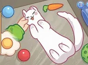 Sara Vet Life Ep11: Ferret Online Game