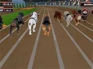 Crazy Dog Racing Fever Online Game