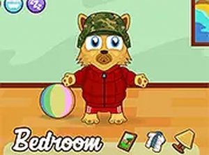 Kitten Pet Carer Online Game