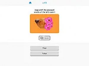 True False Quiz Online Game