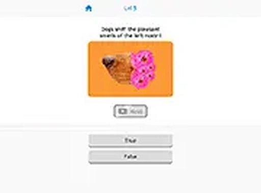 True False Quiz Online Game