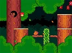 Kiwi Story Adventure Game